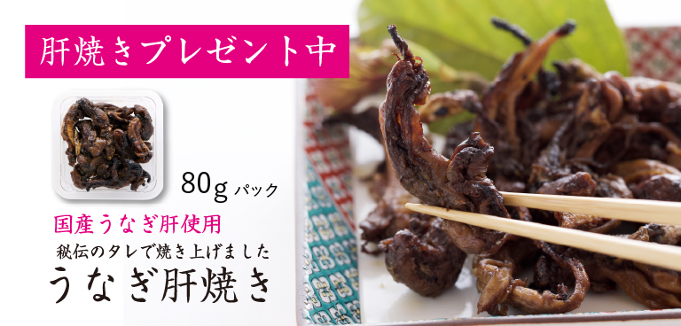 絶品 珍味◎肝焼き 100g×2 おつまみ 鰻蒲焼 スルメ b