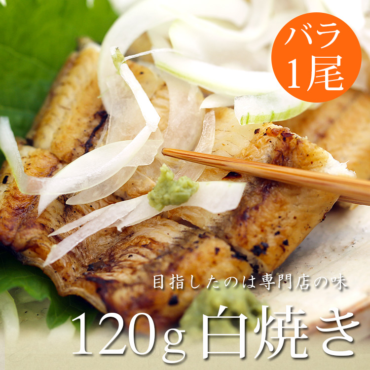 浜名湖うなぎ白焼き真空≪120ｇ長焼き×1尾≫　【バラ売り】【浜名湖産を中心とした国産（愛知・鹿児島）】