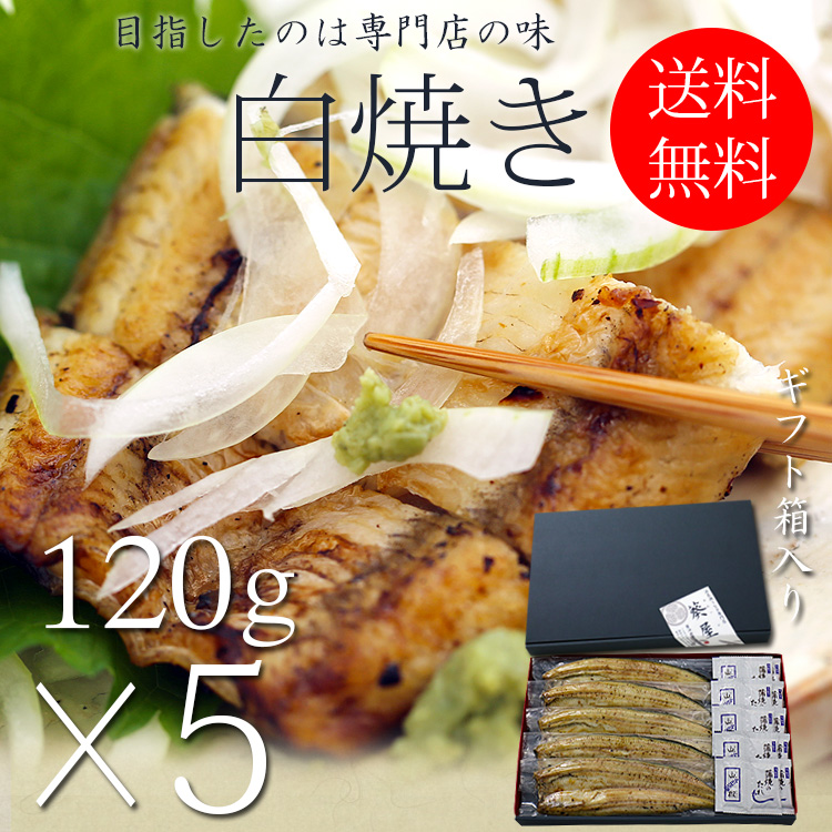 浜名湖うなぎ白焼き真空≪120ｇ長焼き×5尾≫　【送料無料】【ギフト箱】【浜名湖産を中心とした国産（愛知・鹿児島）】